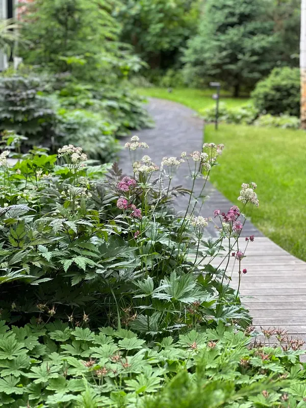 Английская история