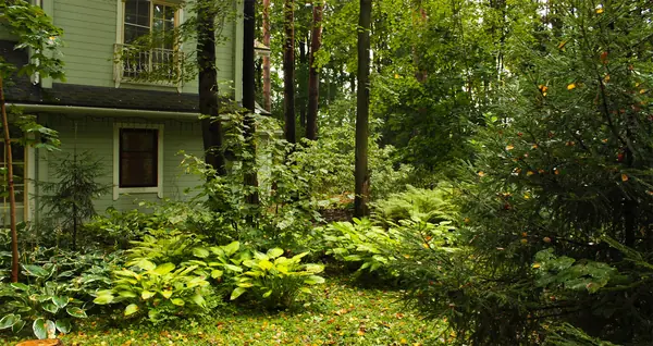 Ландшафтный дизайн лесного участка.