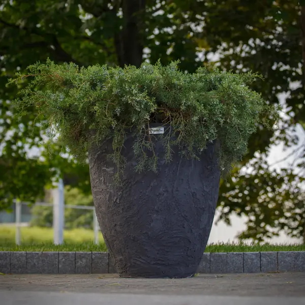 Вазоны и кашпо