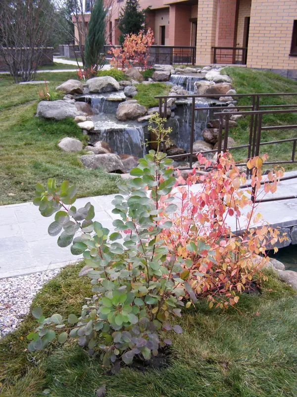 Миниатюрный водоем