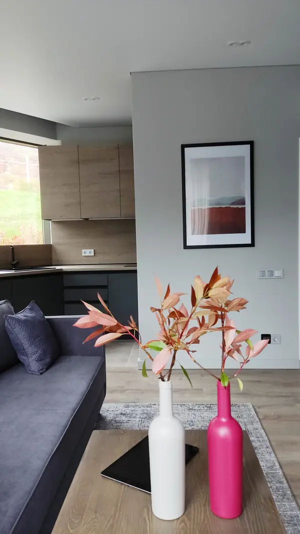 Апартаменты Красная Поляна ГЭС