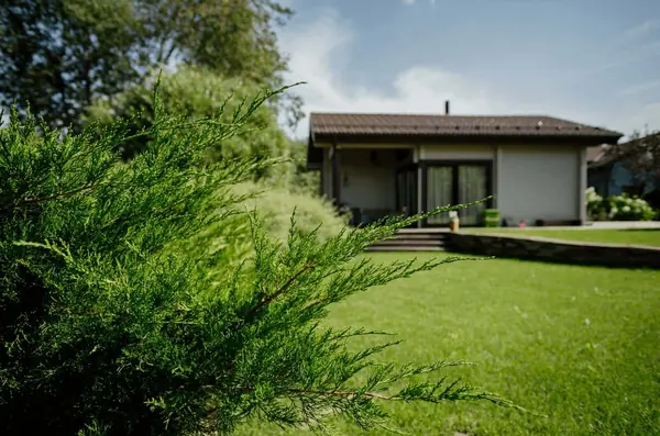 Брусландия