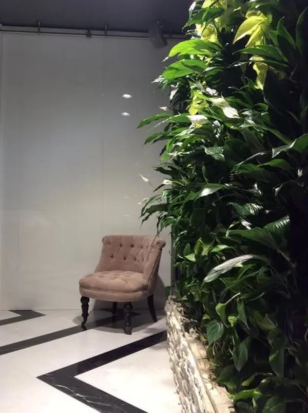 Фитомодуль загородный дом