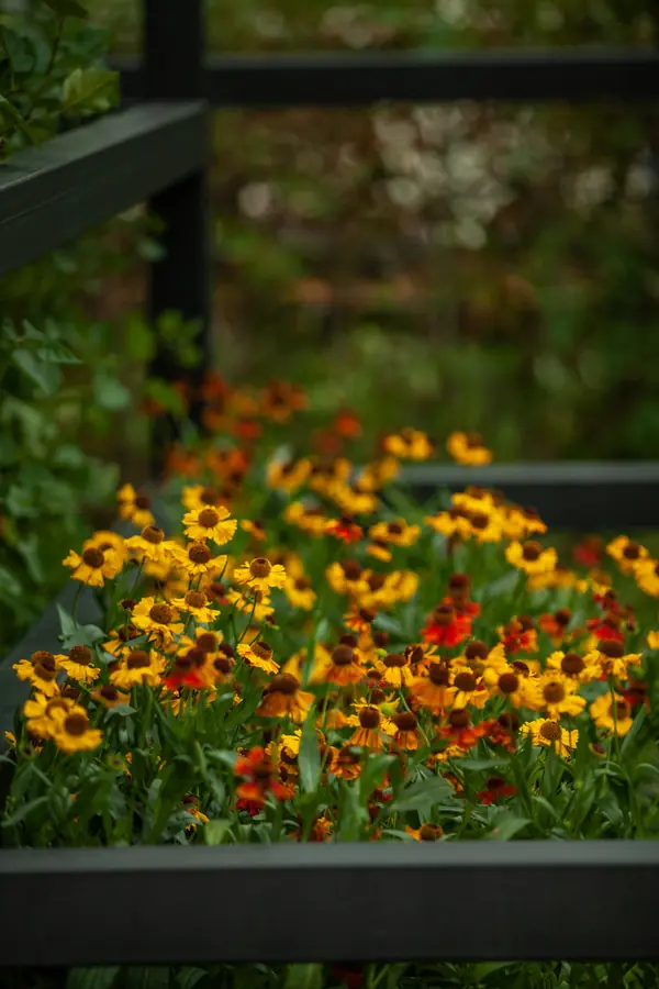 Архитектура природы