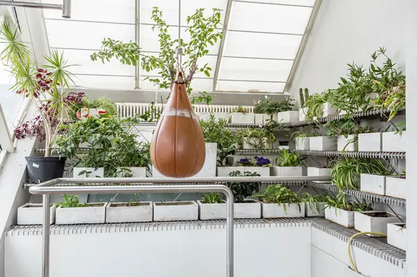 В гостях: Три уровня минимализма на Пречистенке