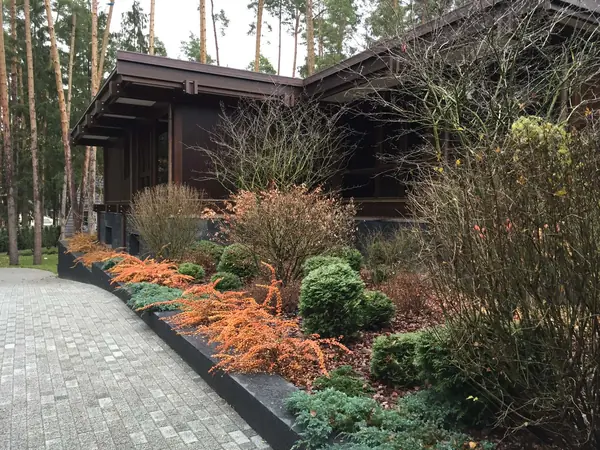 Сосновый бор