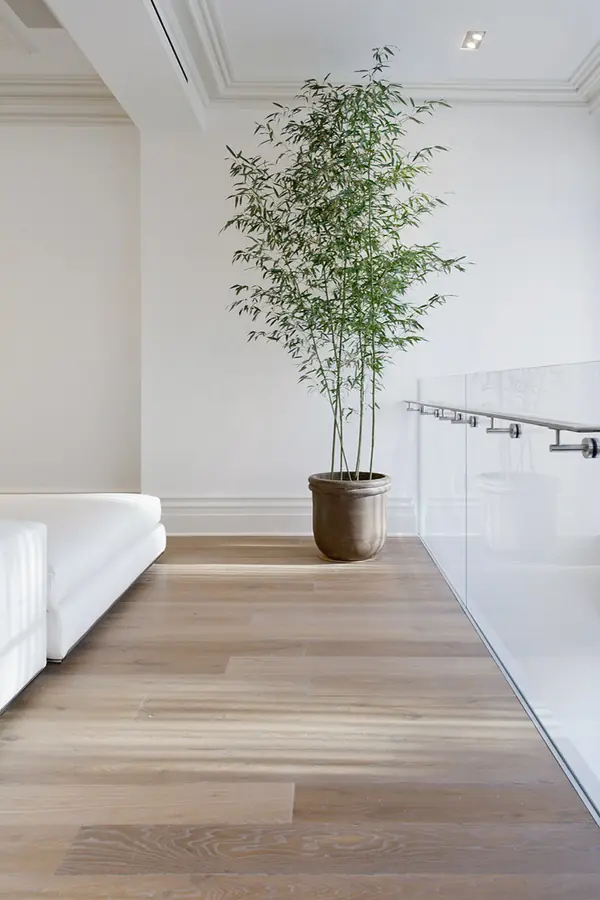 Реализованный проект для SiberianForest 1