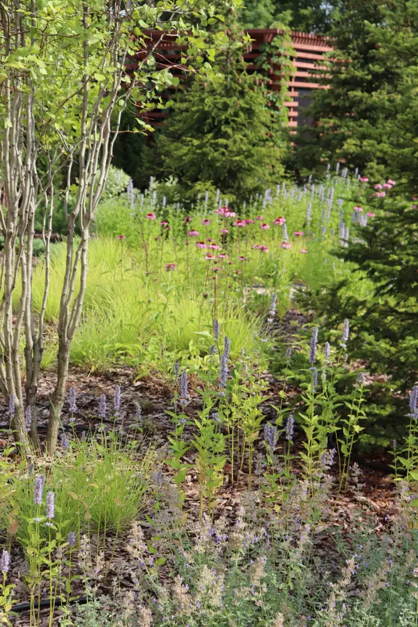 WB Парковая часть