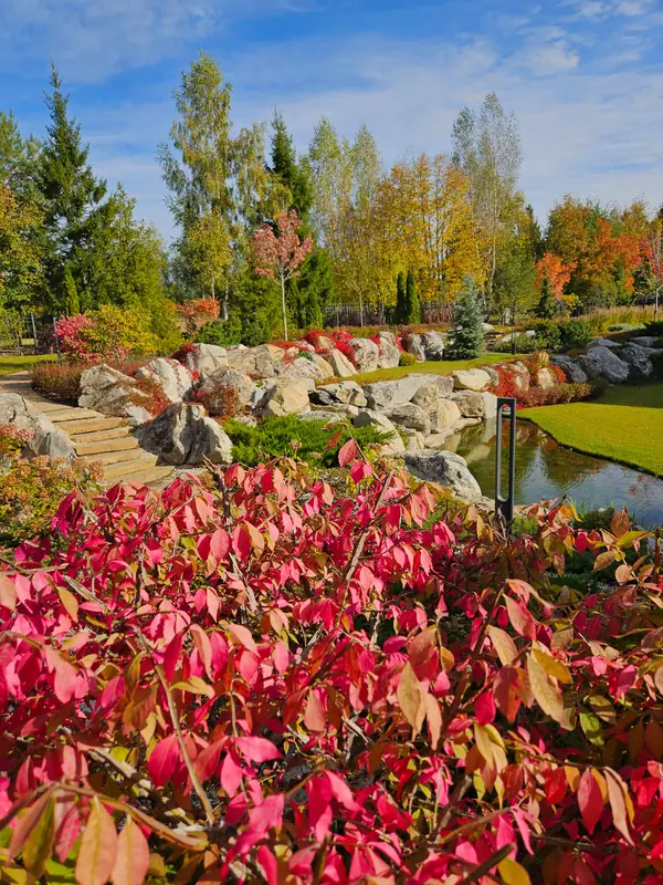 Миллениум парк 2024