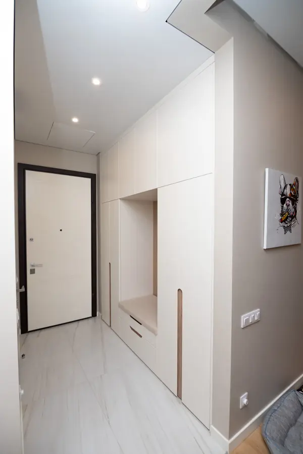 Гардероб и шкаф в прихожую в минималистичном стиле