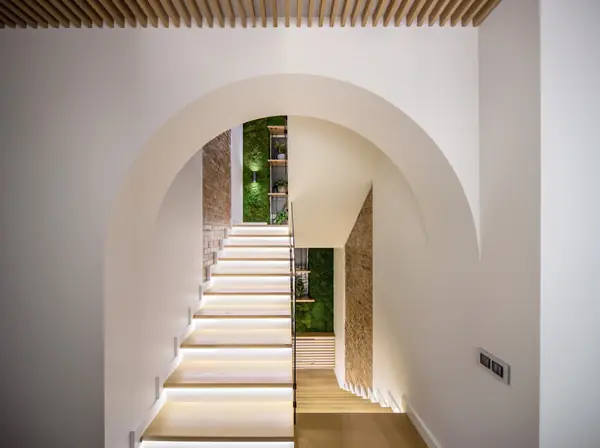 Дом с фокусом