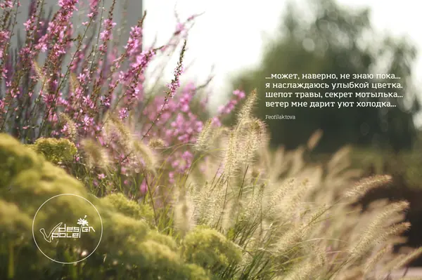 landscape design - Kirovskoe_Dnepropetrovsk region