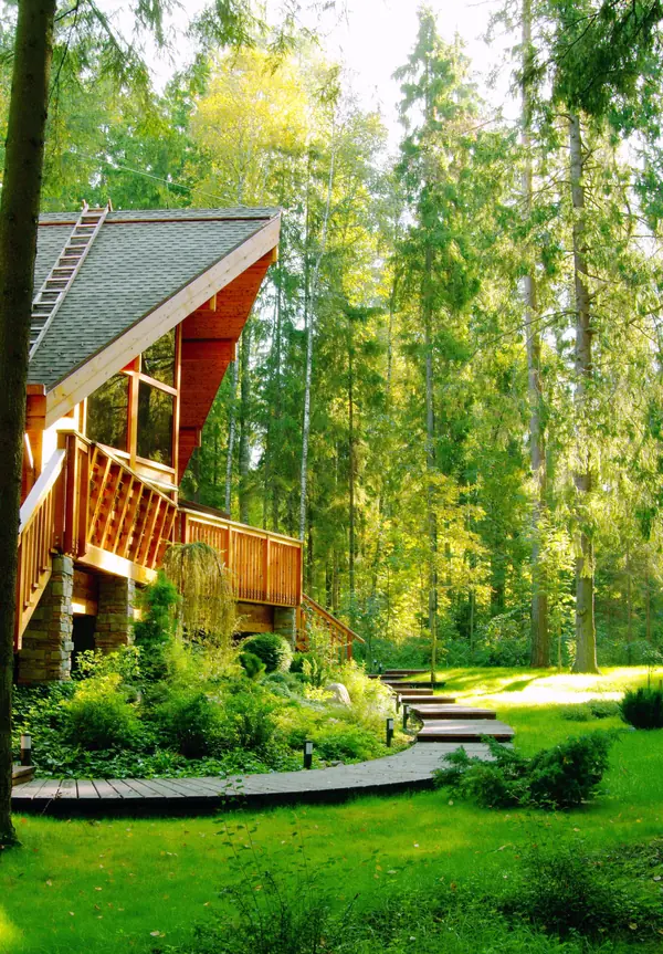 Сад на лесном участке