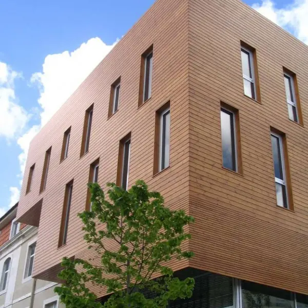 Пример применения планкена из термообработанной сосны