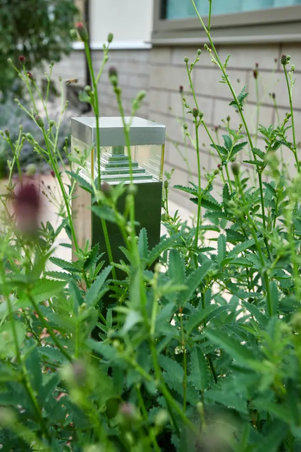 Проект "Современный сад"