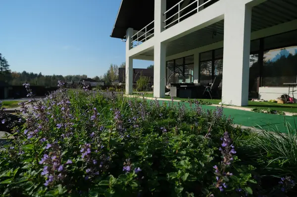 Проект «На берегу ручья»