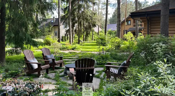 Заповедный Бор 2