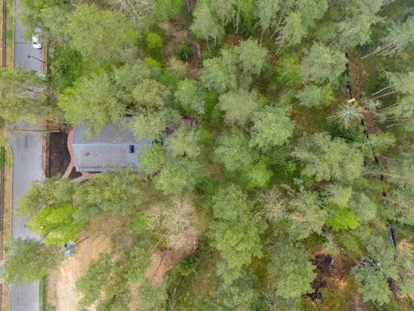 Каркасный дом в сосновом лесу