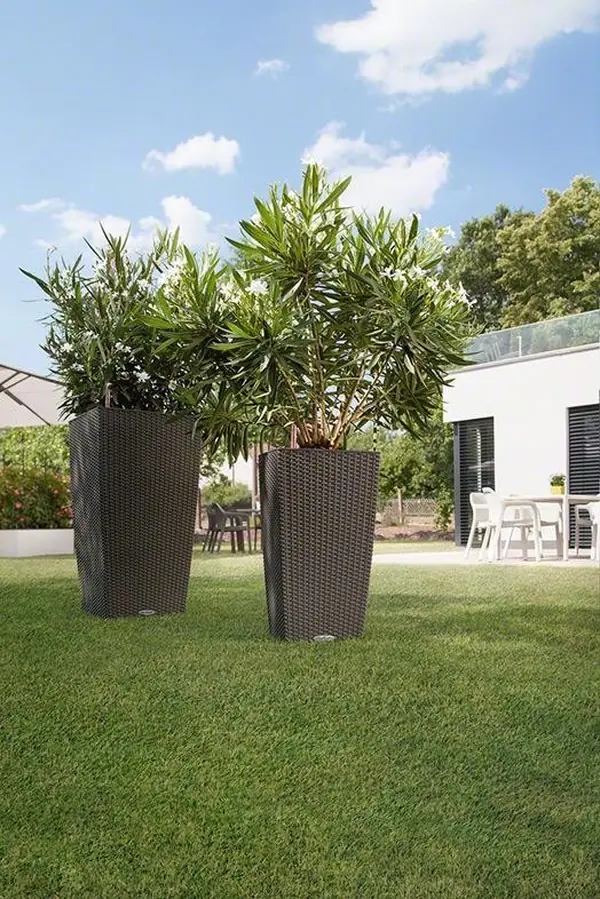 Стильный универсал