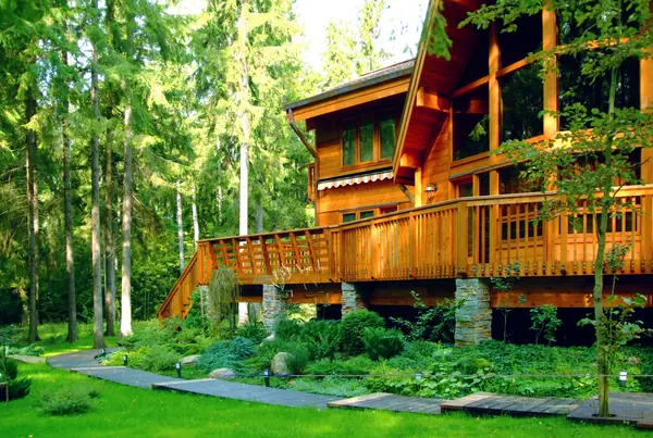 Сад на лесном участке