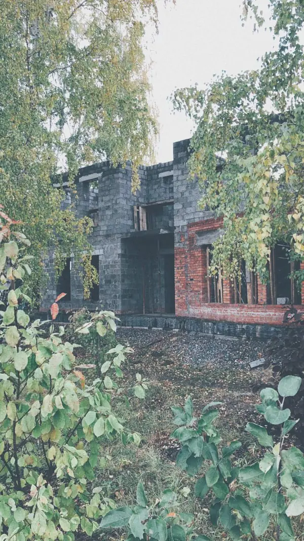 Проросший сквозь берёзы жилой дом