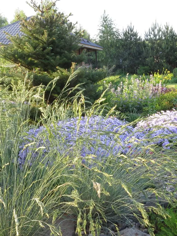 ТЕПЛЫШКО МОЕ. ВЕСНА.