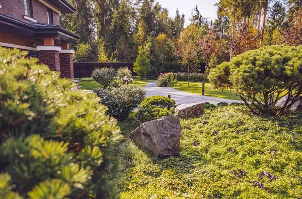 Архитектурное Решение в Пейзажном Стиле