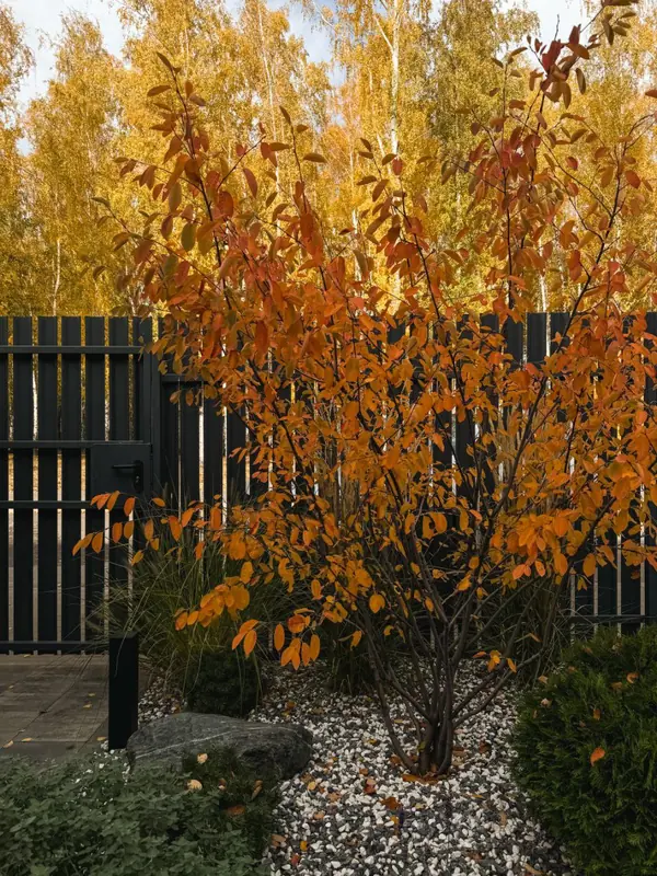 Реализованный проект КП Панорама