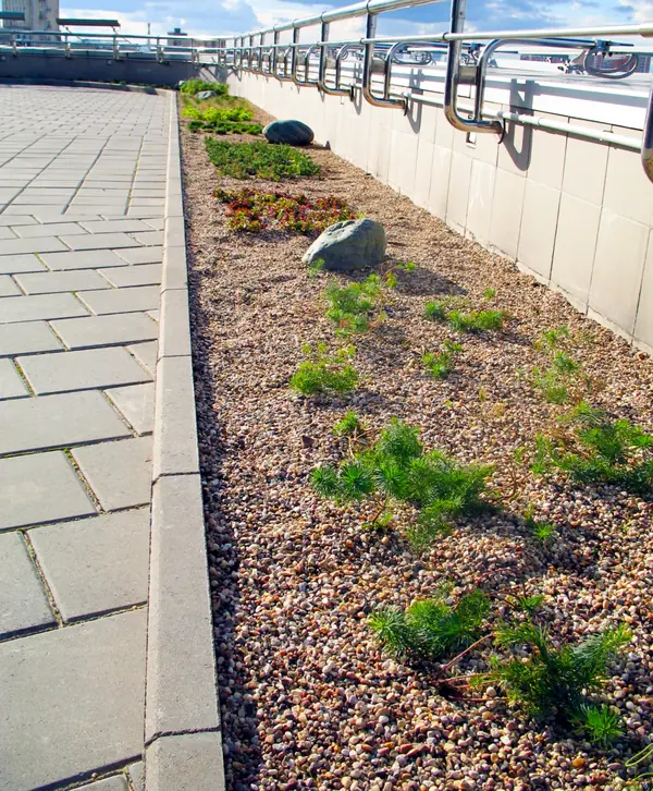 Москва-Сити, Северная башня, 2010 г.