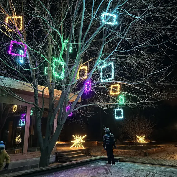 Выставочный сад