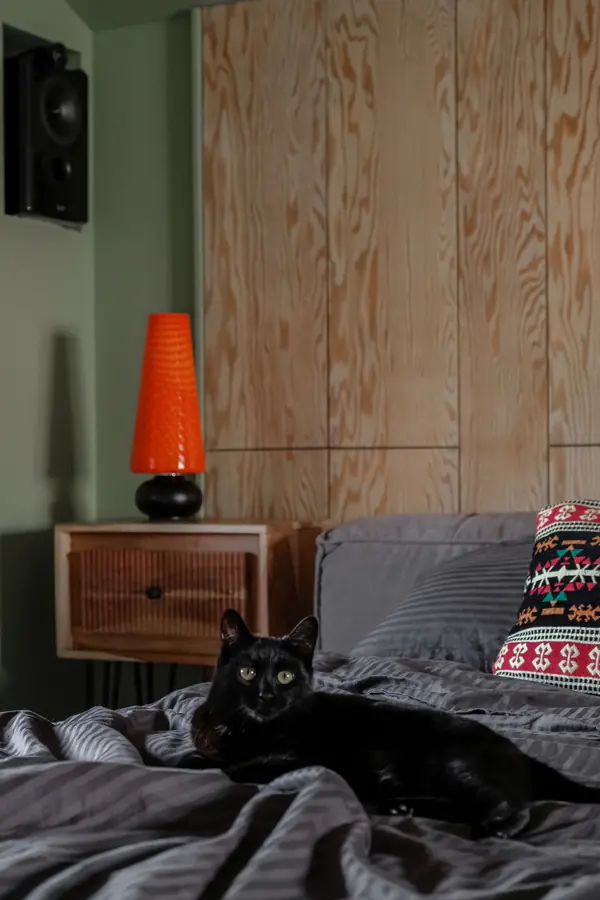 Дерзкая этника