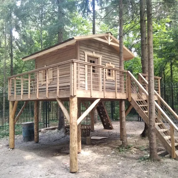 Домик на дереве в лесу