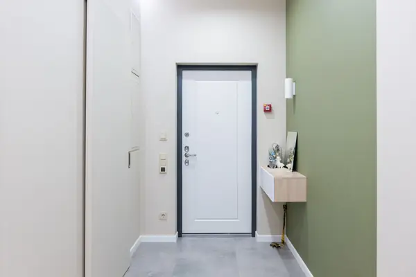 Тушино 2018 (2)