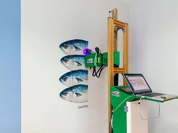 Дизайн-студия 33dodo