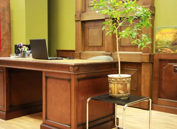 Мебель для кабинета