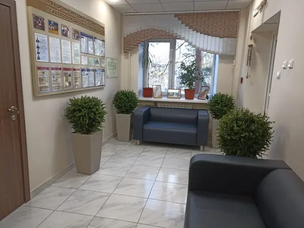 Растения для офисного пространства