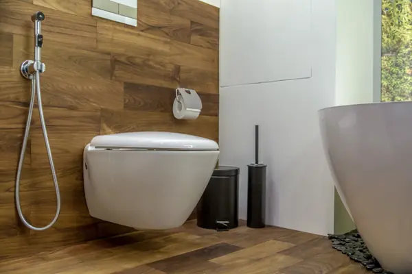 Северное сияние