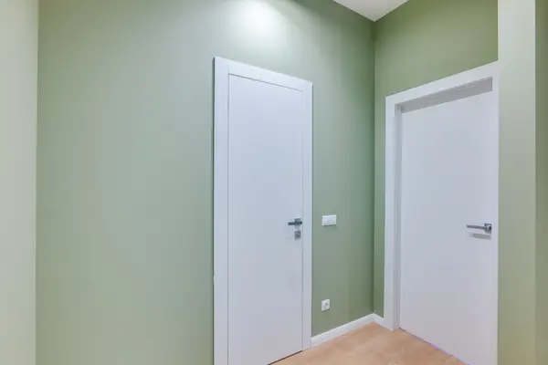 Тушино 2018 (3)