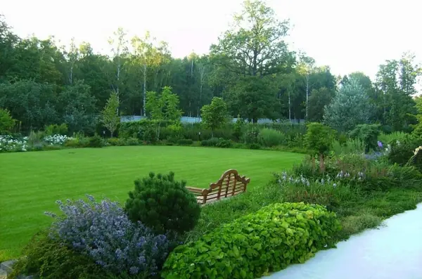 Разноплановая композиция.