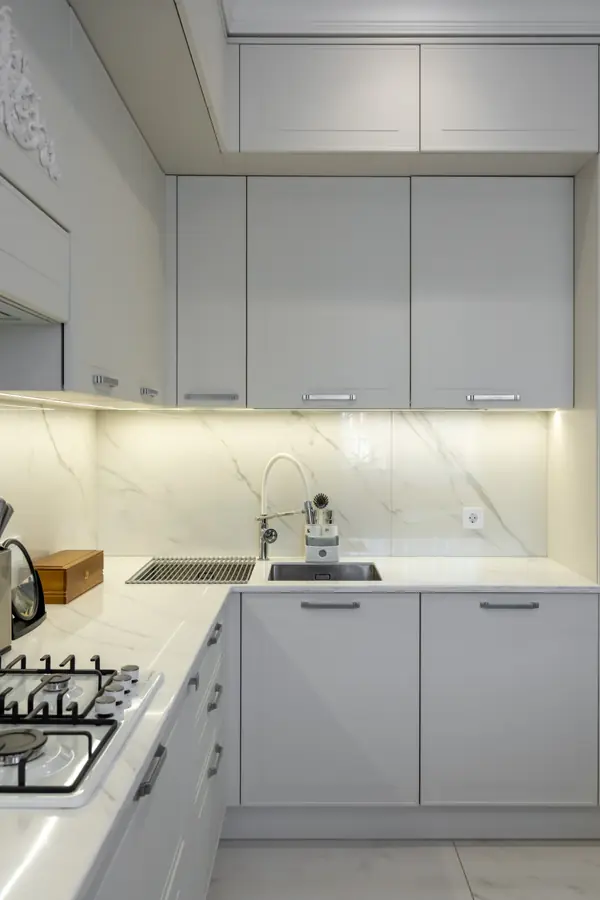 Проект с полной меблировкой