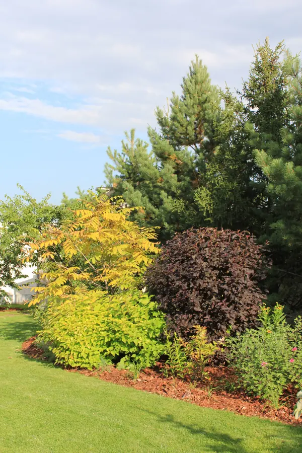 Реализованные проекты