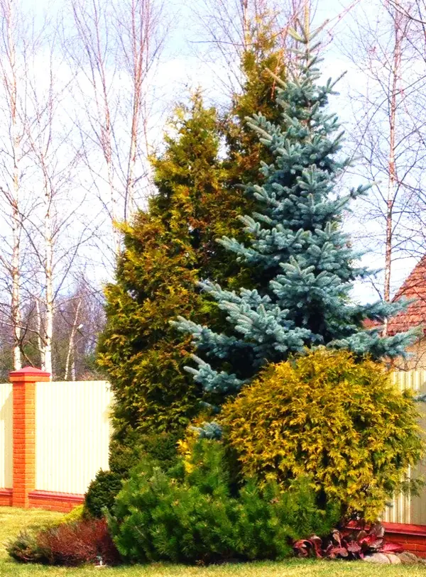 Фото выполненных работ