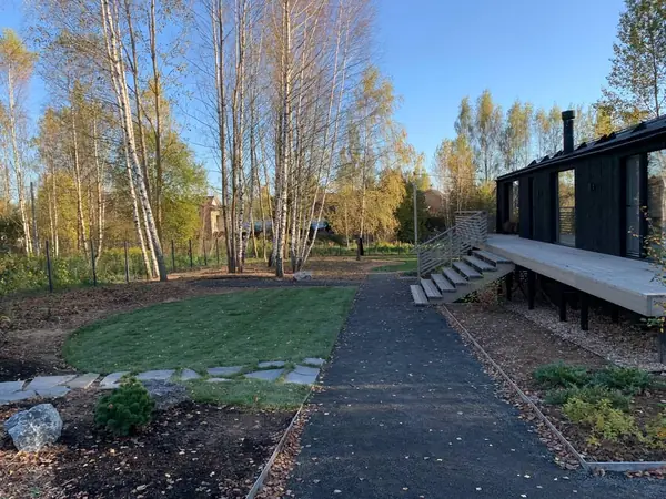 Проект " В тонких линиях "