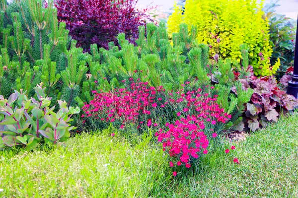 Новые Вешки