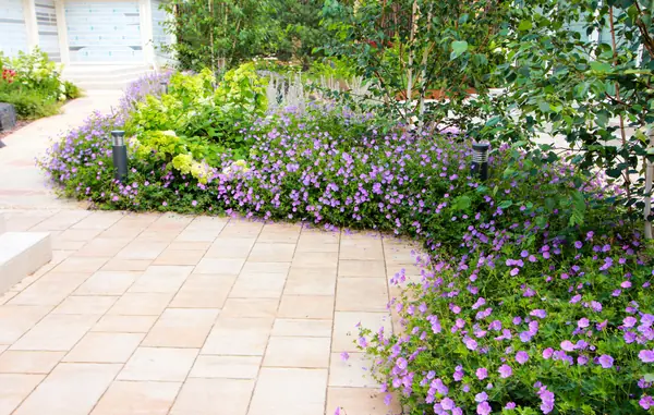 Павлово-2, 2022-2024 г.г.