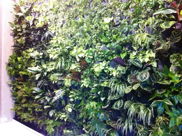 Нью-Йорк на Васильевском острове