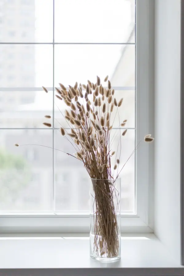 Фотосессия: кухня Холли Голайтли