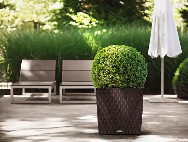 Загородный шарм