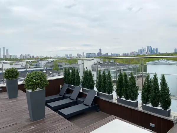 Веранда искусственное озеленение