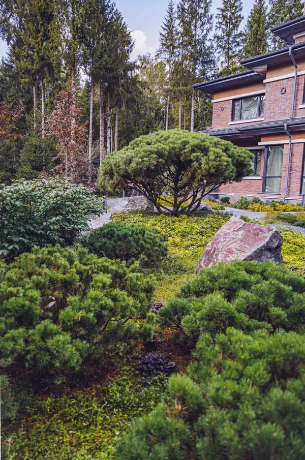 Архитектурное Решение в Пейзажном Стиле